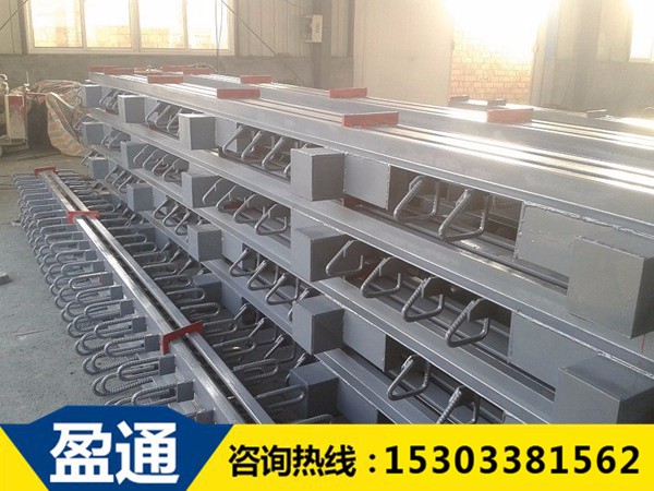 模數(shù)式橋梁伸縮縫-MZL-160 模數(shù)式橋梁伸縮縫-MZL-160