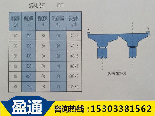 TST填充式橋梁接縫彈塑體的結構尺寸圖